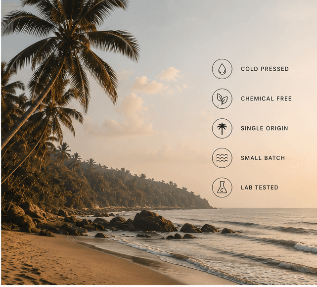Coastal Karnataka coconut grove and modern wellness ritual